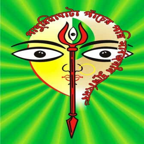 Pathuria Ghata Pancher Palli Sarbojonin Durgatsob Committee