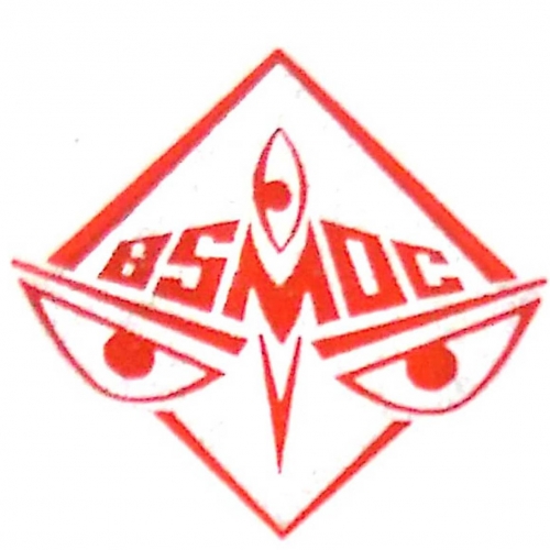 Bosepukur Sitala Mandir Durgotsab Committee